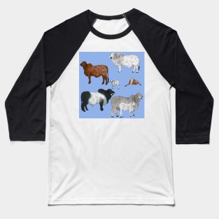 Brahman Cattle Blue Baseball T-Shirt